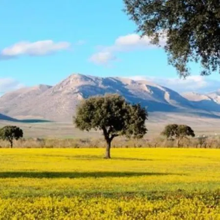Casa Rural Rincon De Velez. * Vélez Rubio